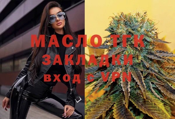 шишки Баксан