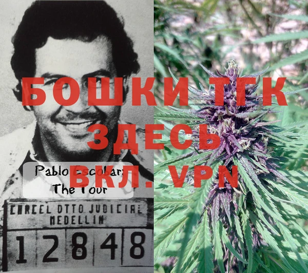 шишки Баксан
