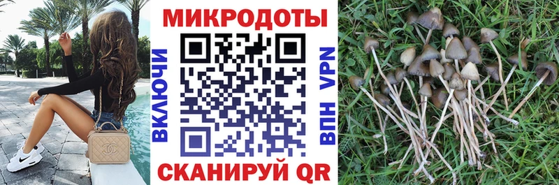 Галлюциногенные грибы Cubensis  Великие Луки 